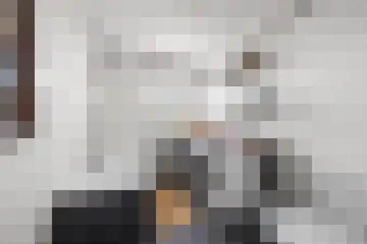 Watertorkruid 3 Nieuwerkerk aan den IJssel thumbnail 16