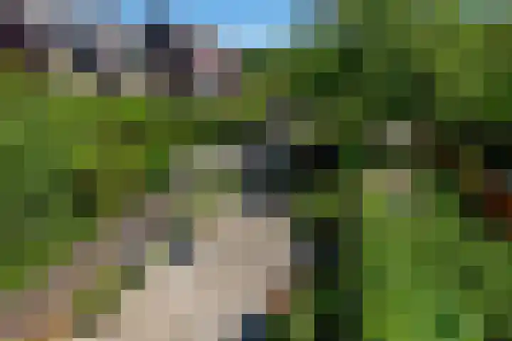 Watertorkruid 3 Nieuwerkerk aan den IJssel thumbnail 20