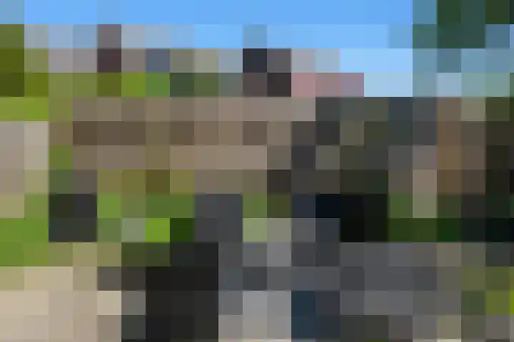 Watertorkruid 3 Nieuwerkerk aan den IJssel thumbnail 21