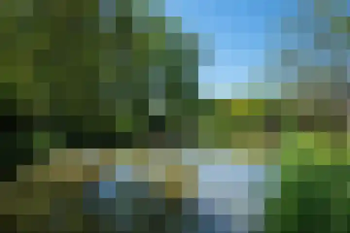 Watertorkruid 3 Nieuwerkerk aan den IJssel thumbnail 22