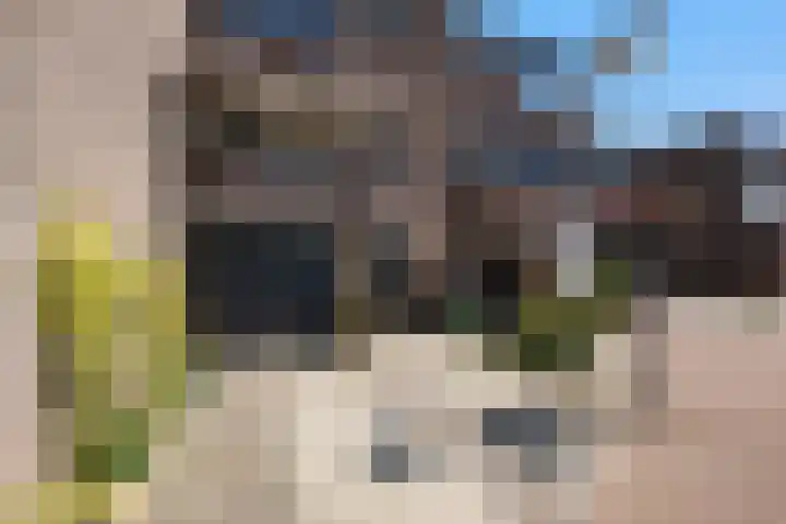 Watertorkruid 3 Nieuwerkerk aan den IJssel thumbnail 23