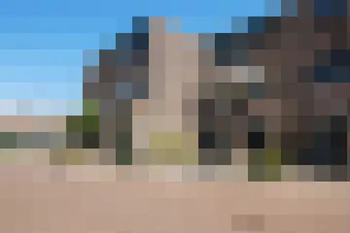 Watertorkruid 3 Nieuwerkerk aan den IJssel thumbnail 24