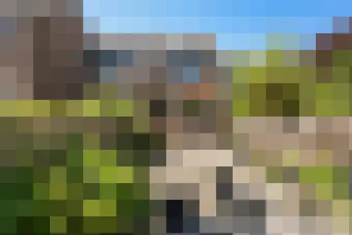 Watertorkruid 3 Nieuwerkerk aan den IJssel thumbnail 30