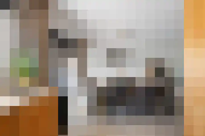Watertorkruid 3 Nieuwerkerk aan den IJssel thumbnail 7