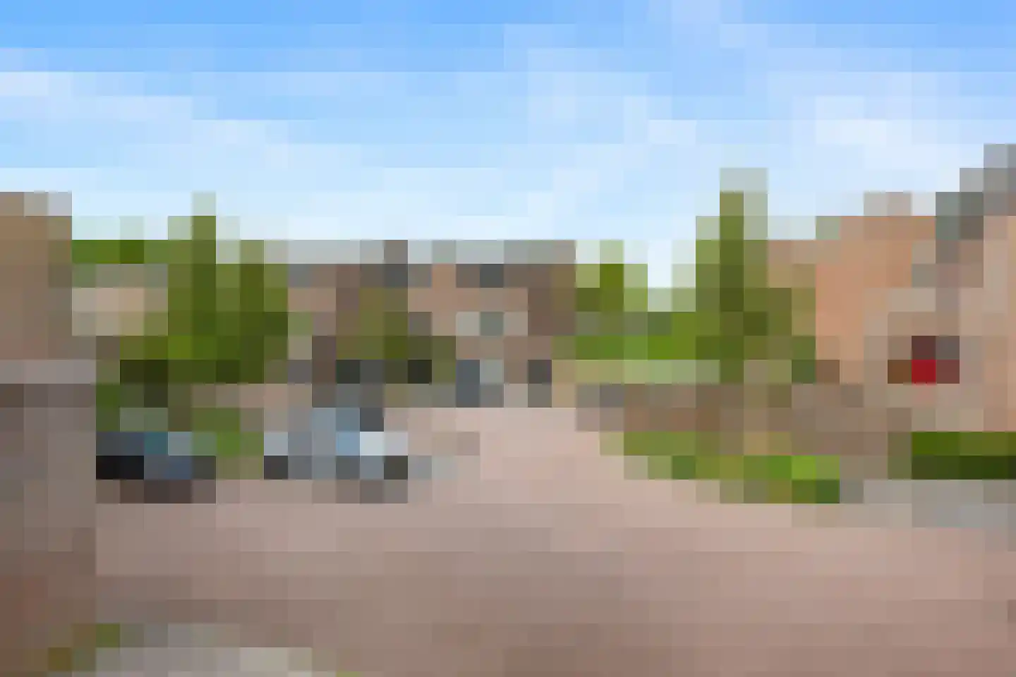 Watertorkruid 5 Nieuwerkerk aan den IJssel thumbnail 11