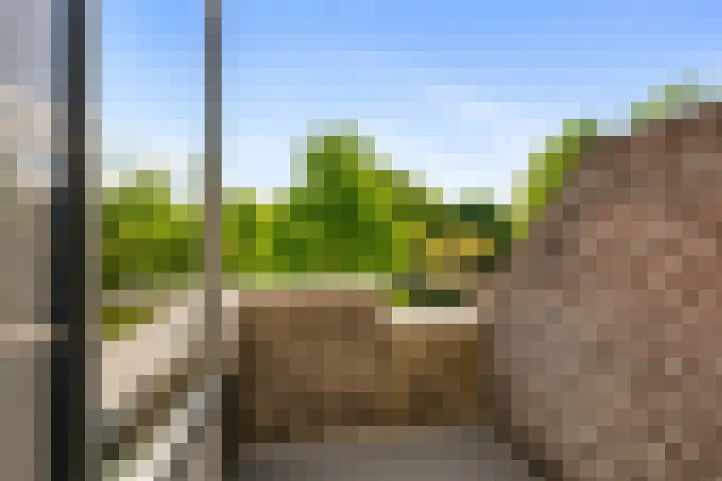 Watertorkruid 5 Nieuwerkerk aan den IJssel thumbnail 16