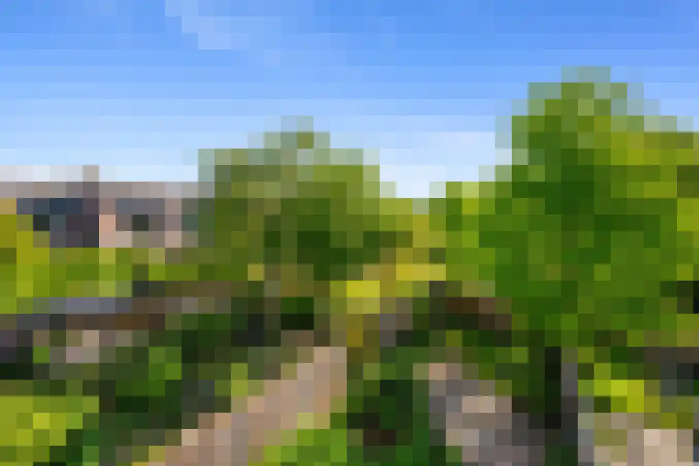 Watertorkruid 5 Nieuwerkerk aan den IJssel thumbnail 17