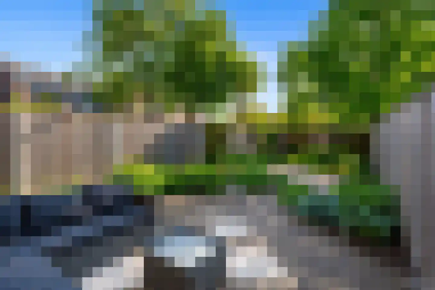 Watertorkruid 5 Nieuwerkerk aan den IJssel thumbnail 30