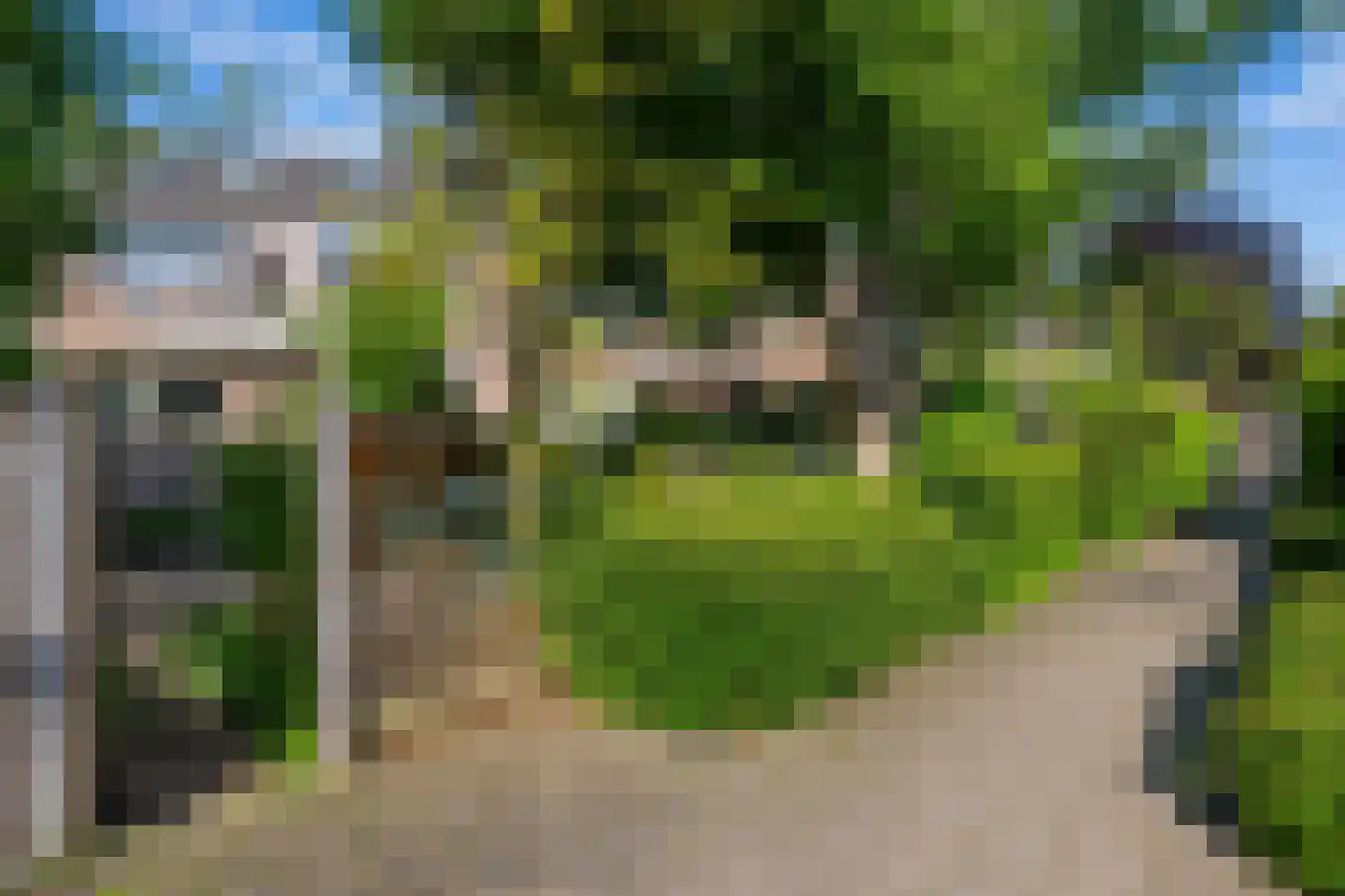 Watertorkruid 5 Nieuwerkerk aan den IJssel thumbnail 31