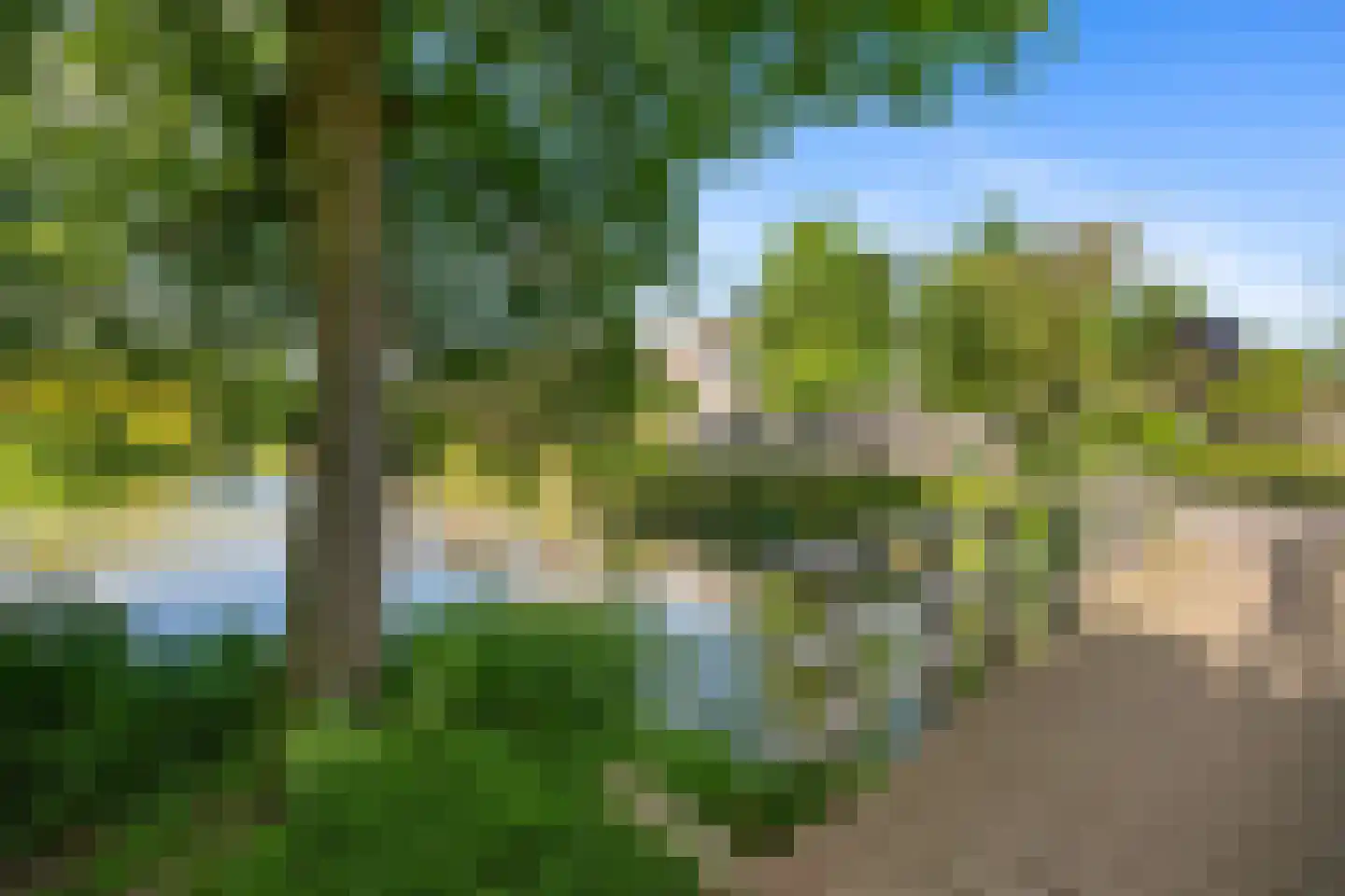 Watertorkruid 5 Nieuwerkerk aan den IJssel thumbnail 32