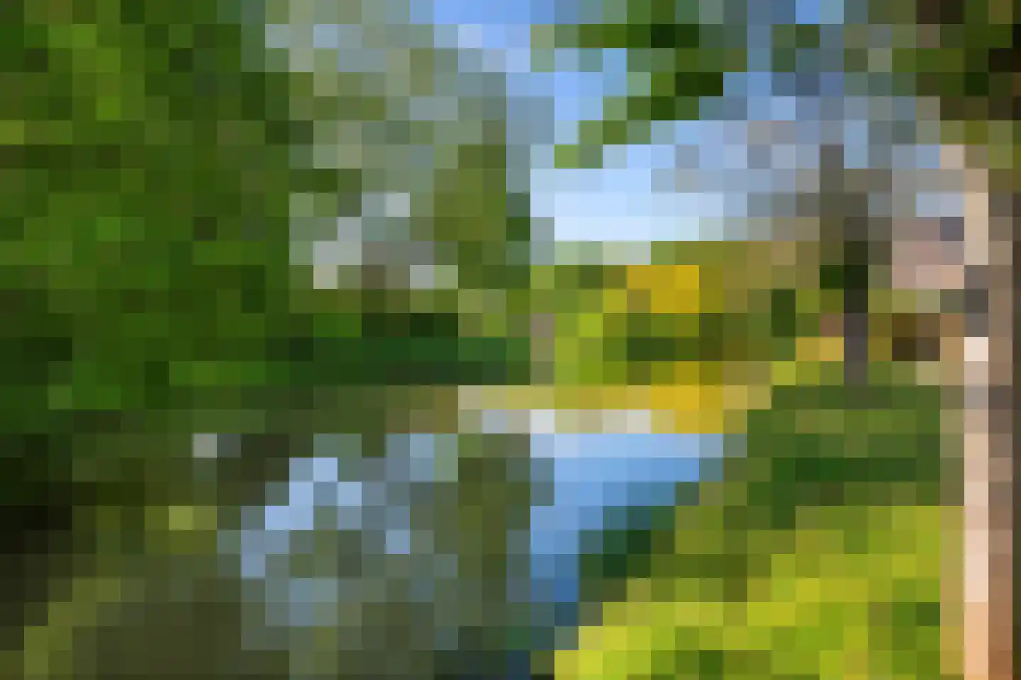Watertorkruid 5 Nieuwerkerk aan den IJssel thumbnail 33