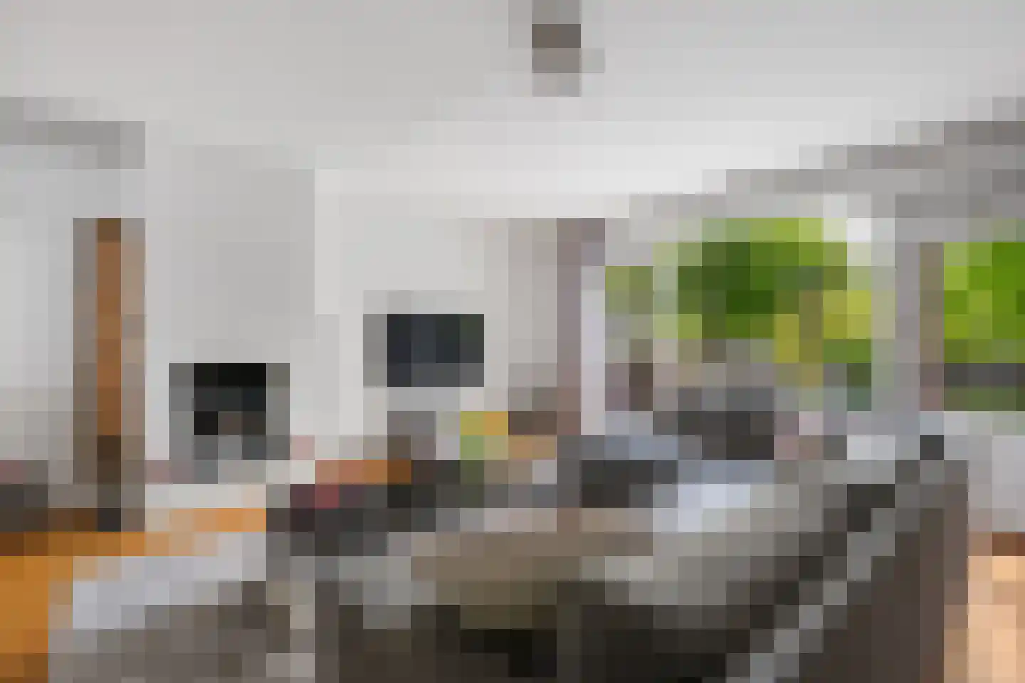 Watertorkruid 5 Nieuwerkerk aan den IJssel thumbnail 4