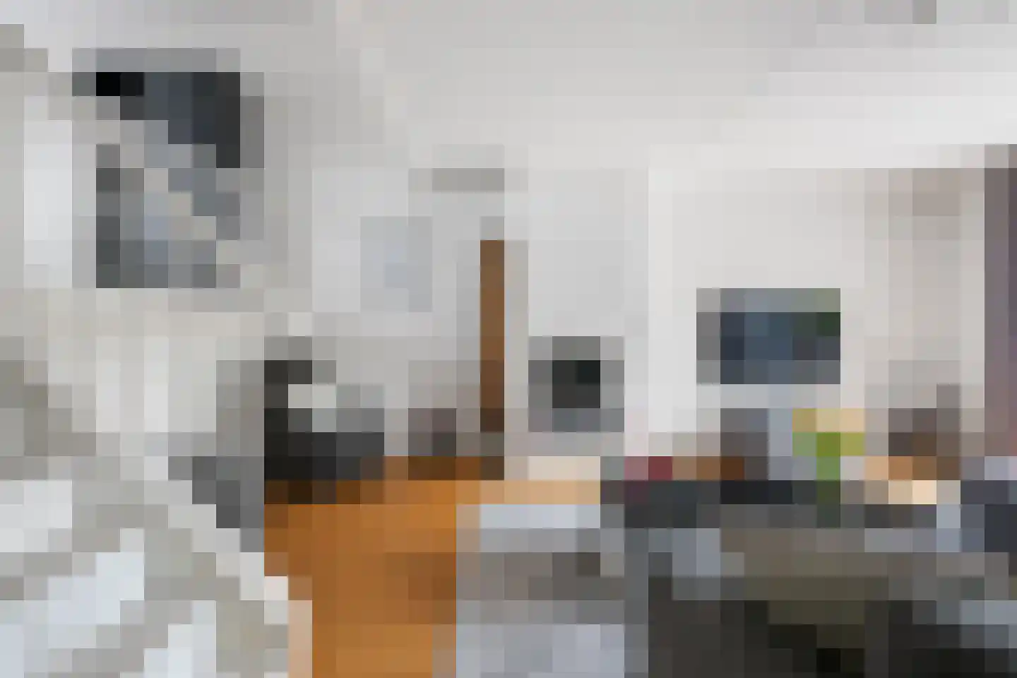 Watertorkruid 5 Nieuwerkerk aan den IJssel thumbnail 6