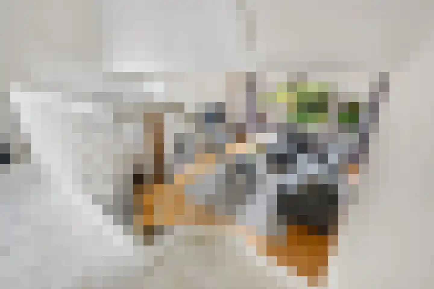 Watertorkruid 5 Nieuwerkerk aan den IJssel thumbnail 7
