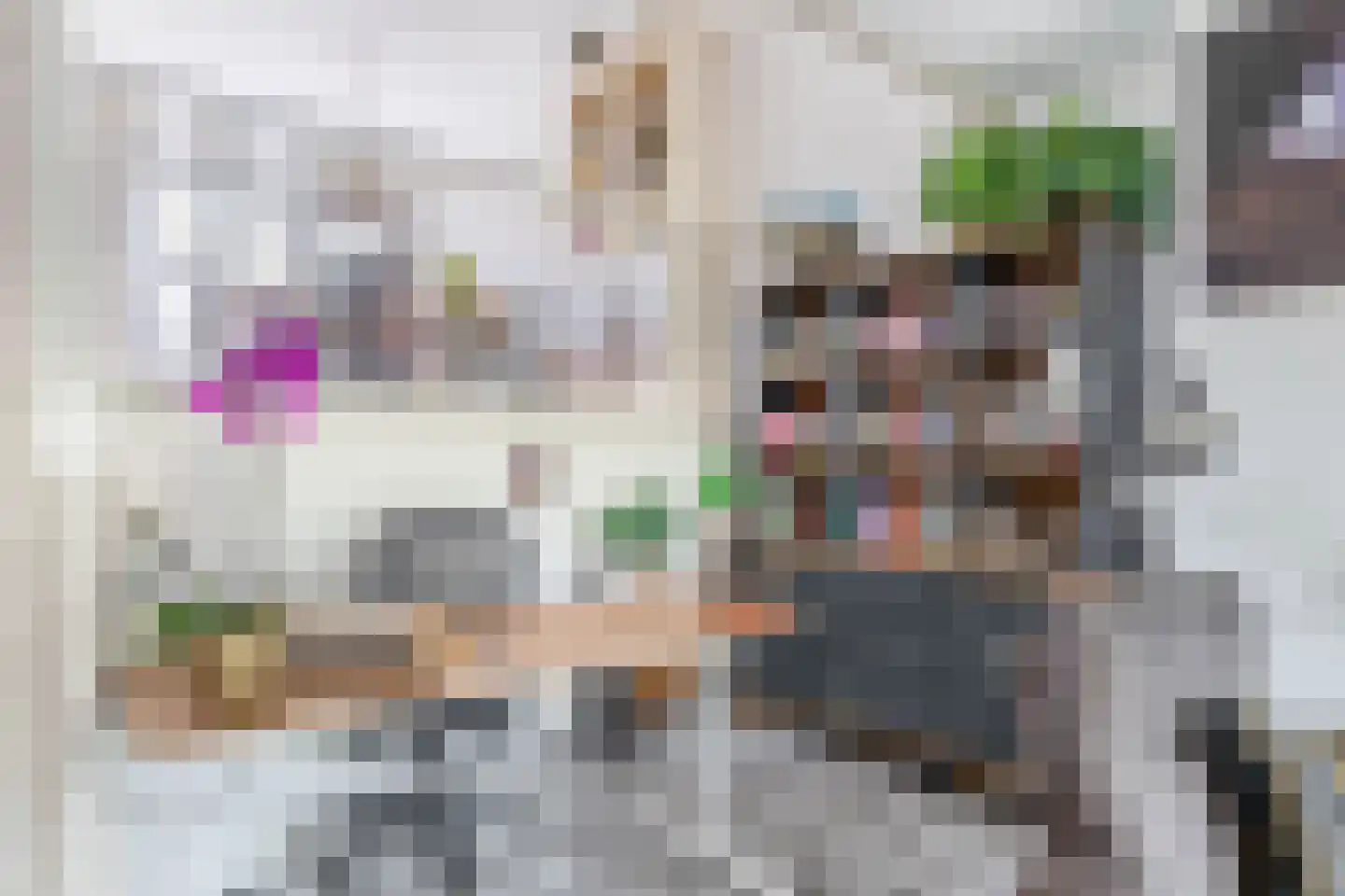 Watertorkruid 7 Nieuwerkerk aan den IJssel thumbnail 12