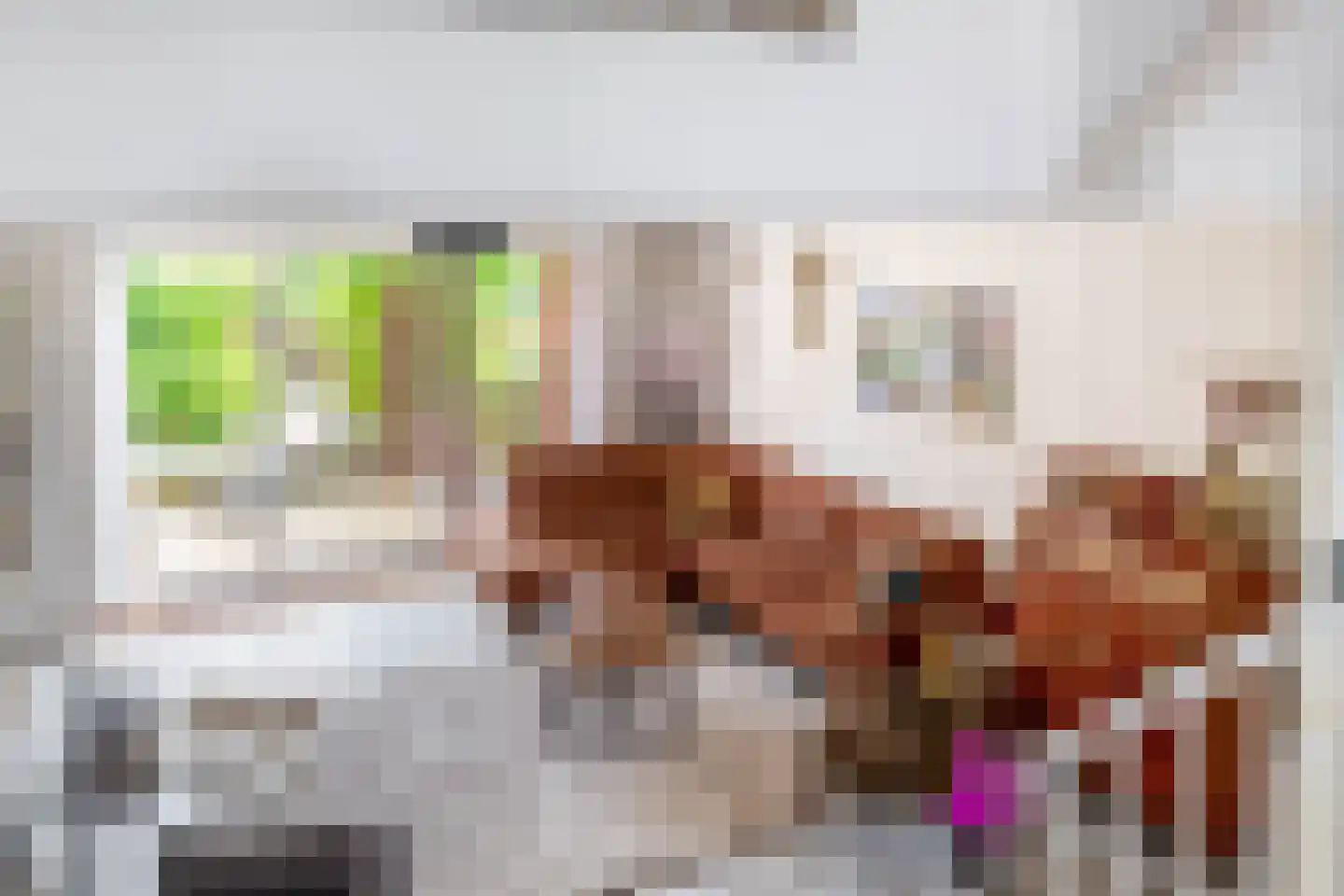 Watertorkruid 7 Nieuwerkerk aan den IJssel thumbnail 13