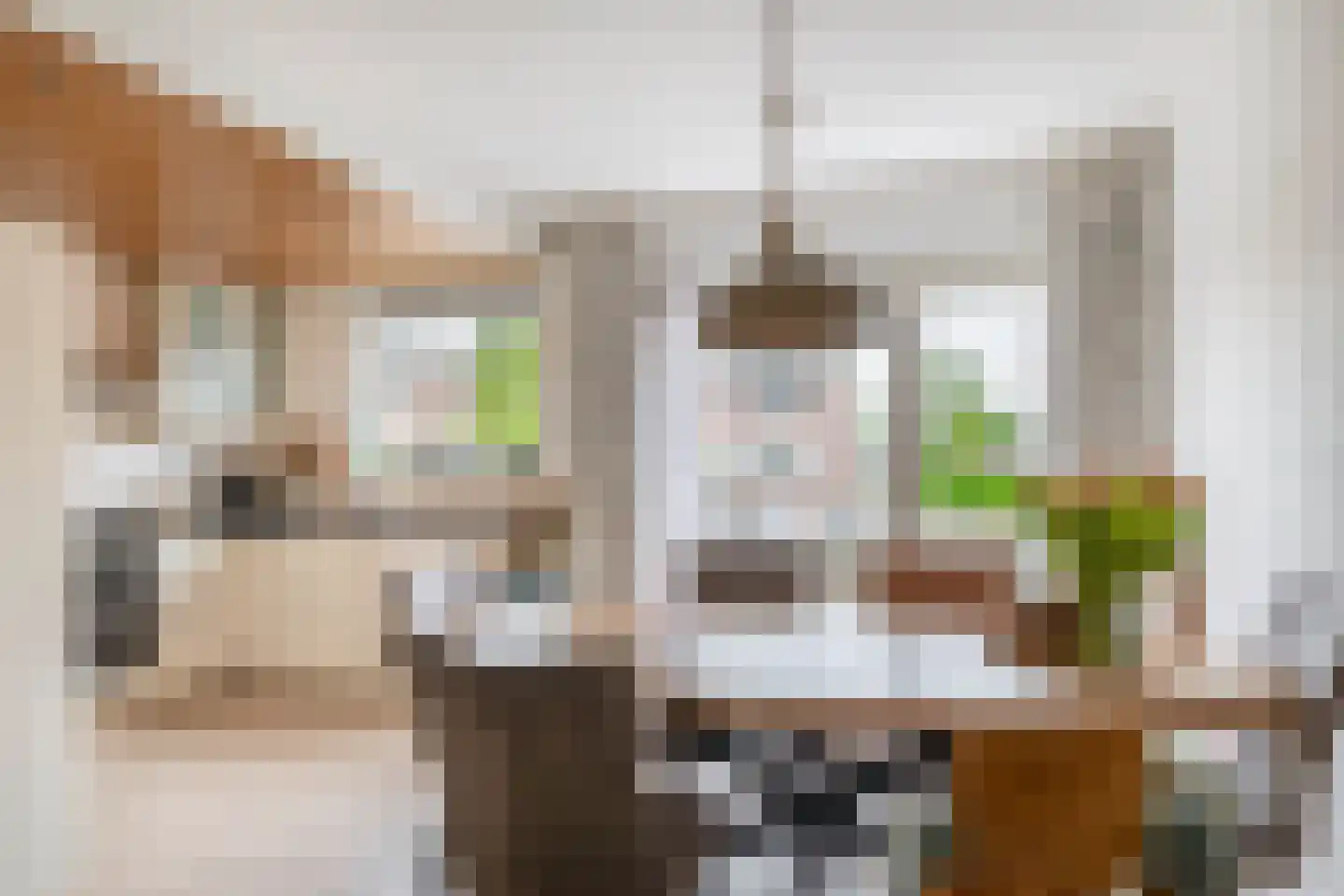Watertorkruid 7 Nieuwerkerk aan den IJssel thumbnail 15