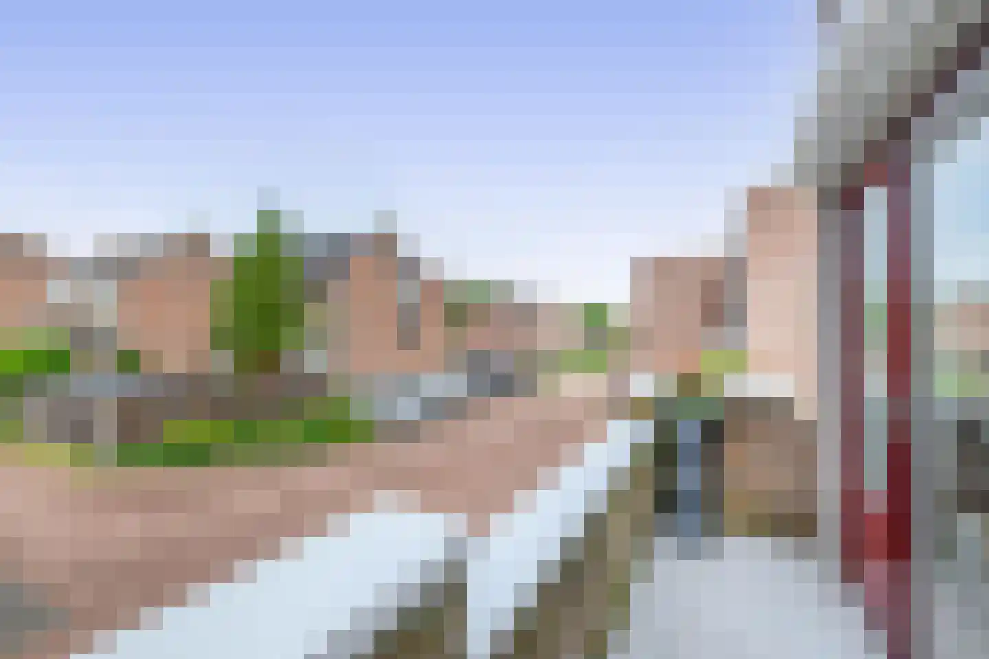 Watertorkruid 7 Nieuwerkerk aan den IJssel thumbnail 17