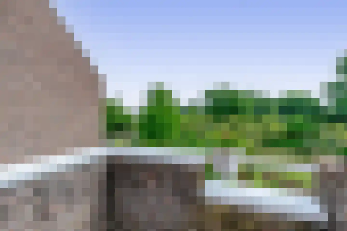 Watertorkruid 7 Nieuwerkerk aan den IJssel thumbnail 23