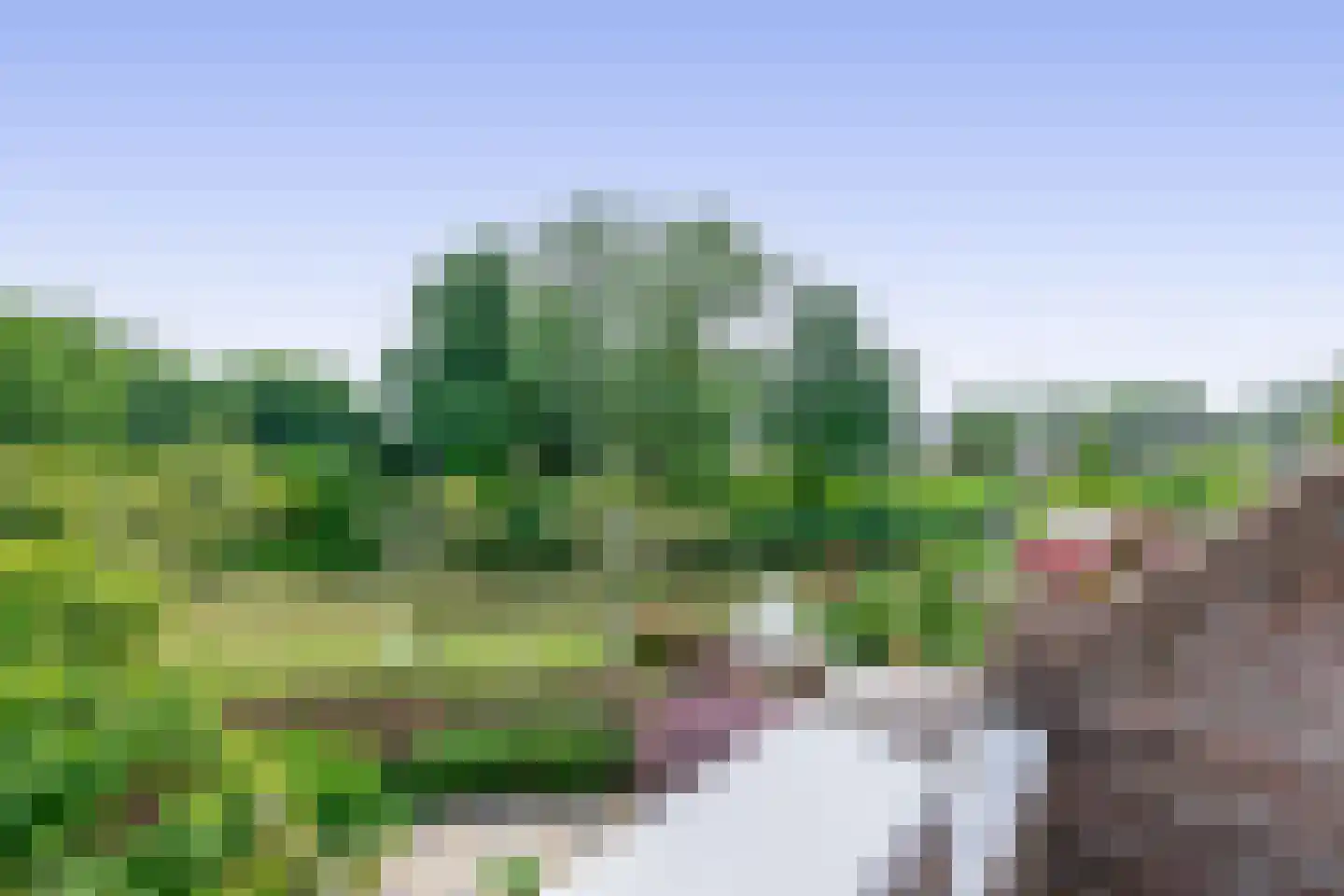 Watertorkruid 7 Nieuwerkerk aan den IJssel thumbnail 24