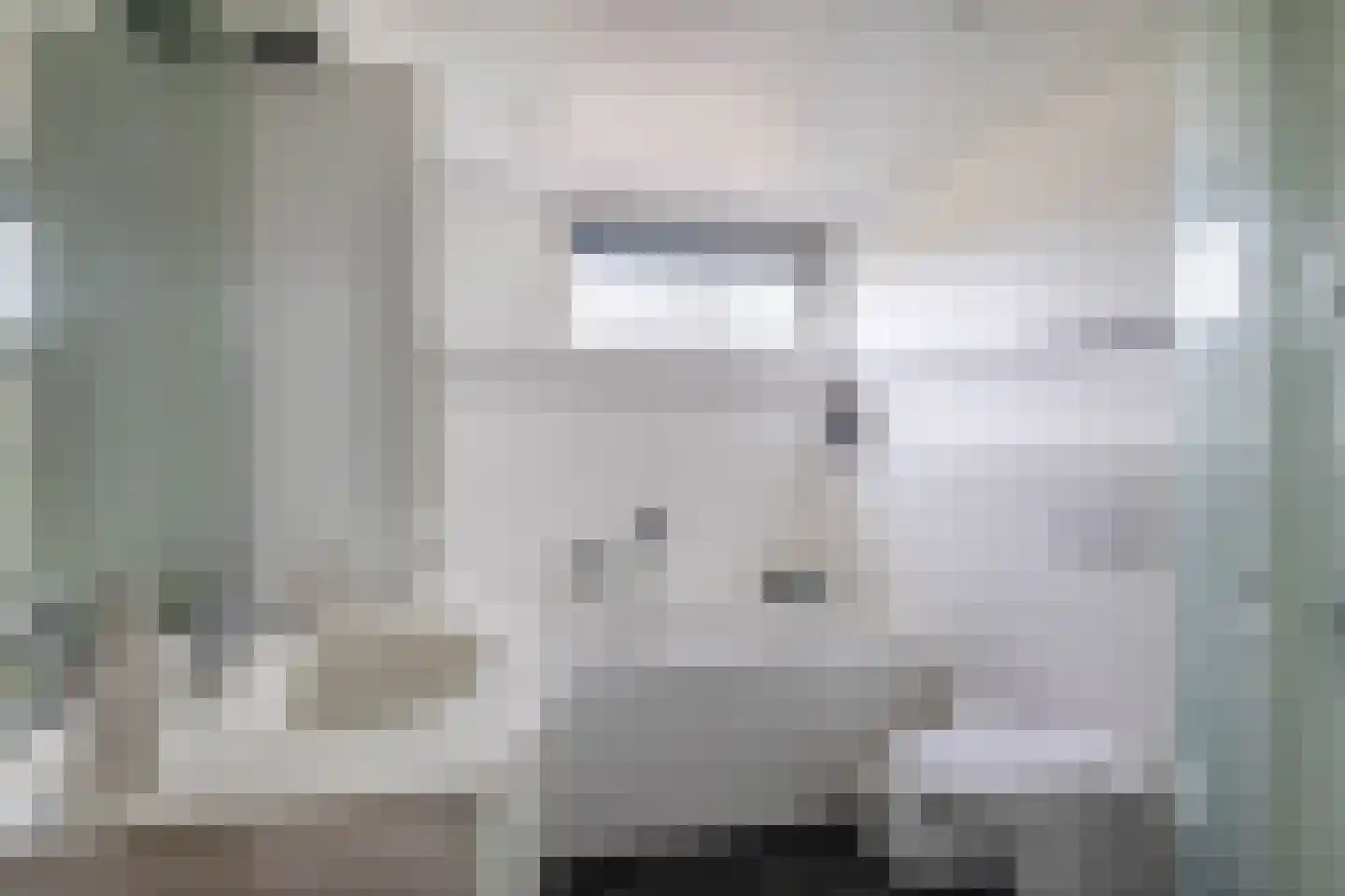 Watertorkruid 7 Nieuwerkerk aan den IJssel thumbnail 26