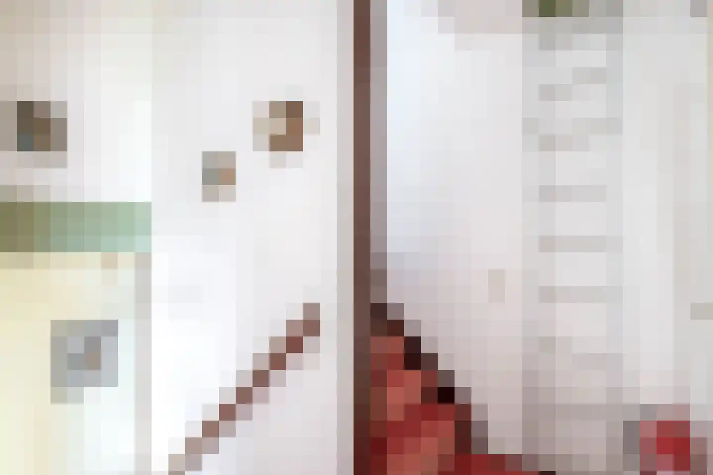 Watertorkruid 7 Nieuwerkerk aan den IJssel thumbnail 33