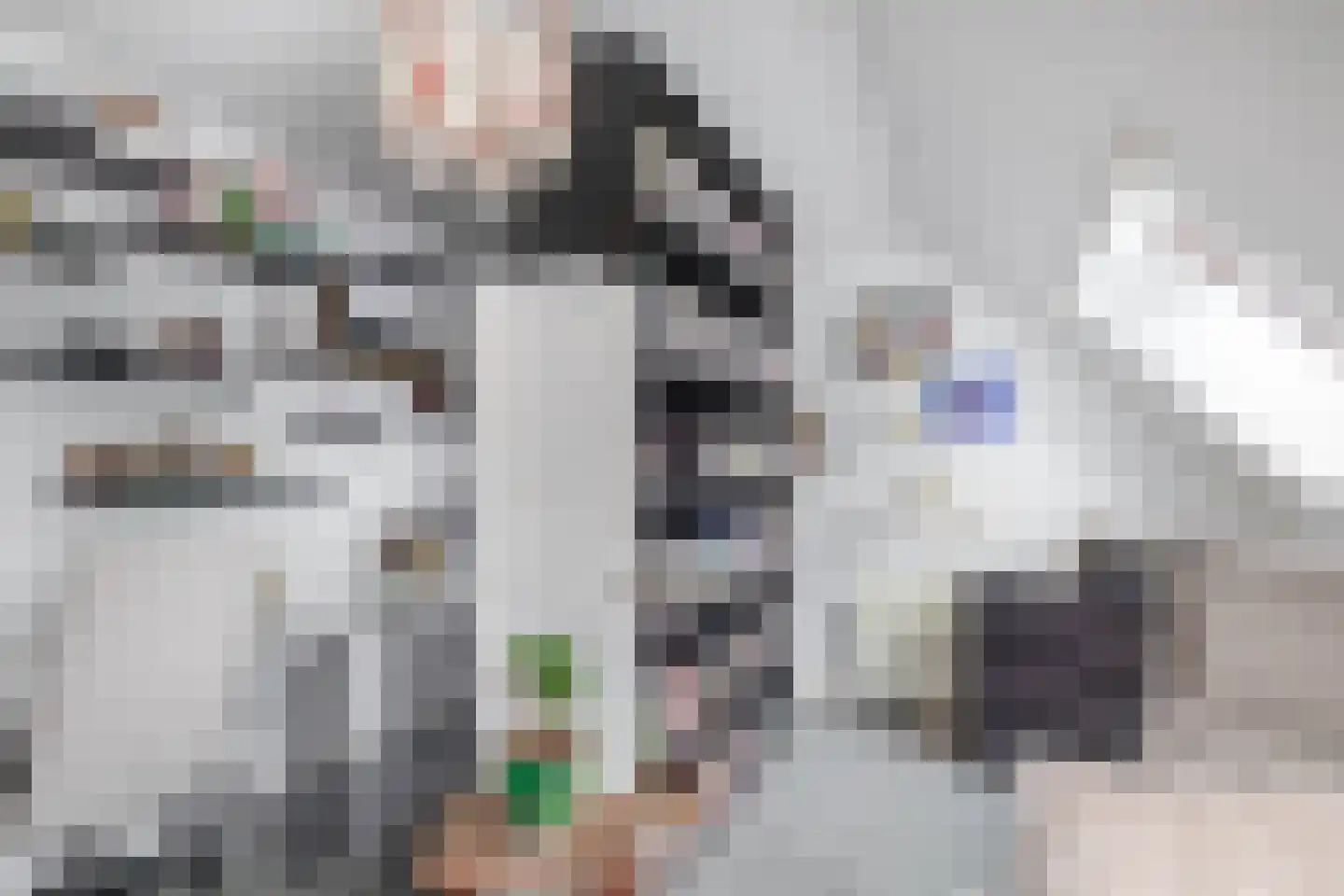 Watertorkruid 7 Nieuwerkerk aan den IJssel thumbnail 34