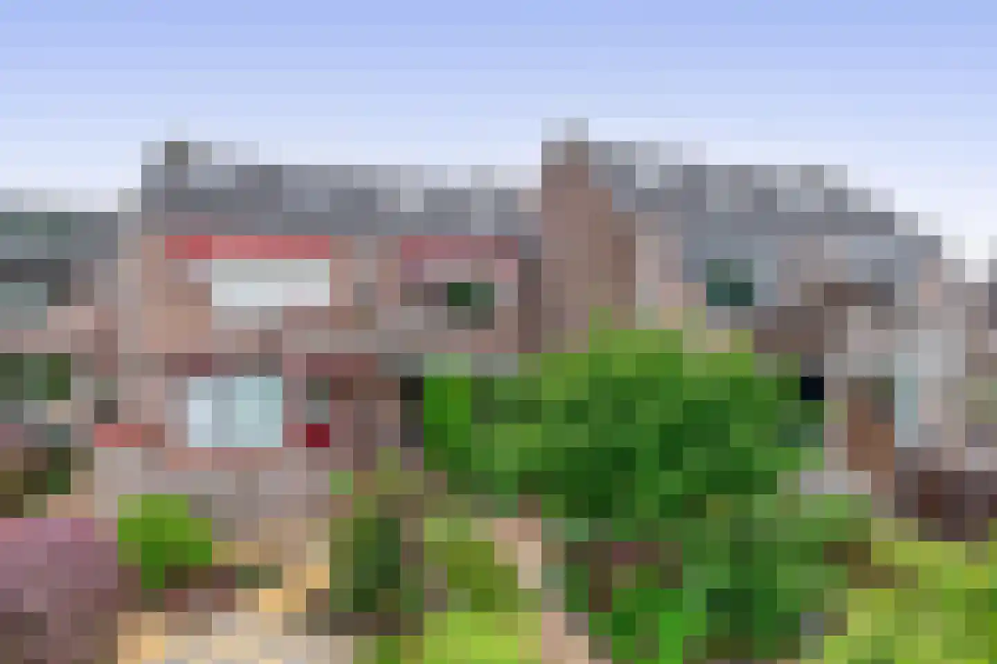 Watertorkruid 7 Nieuwerkerk aan den IJssel thumbnail 36