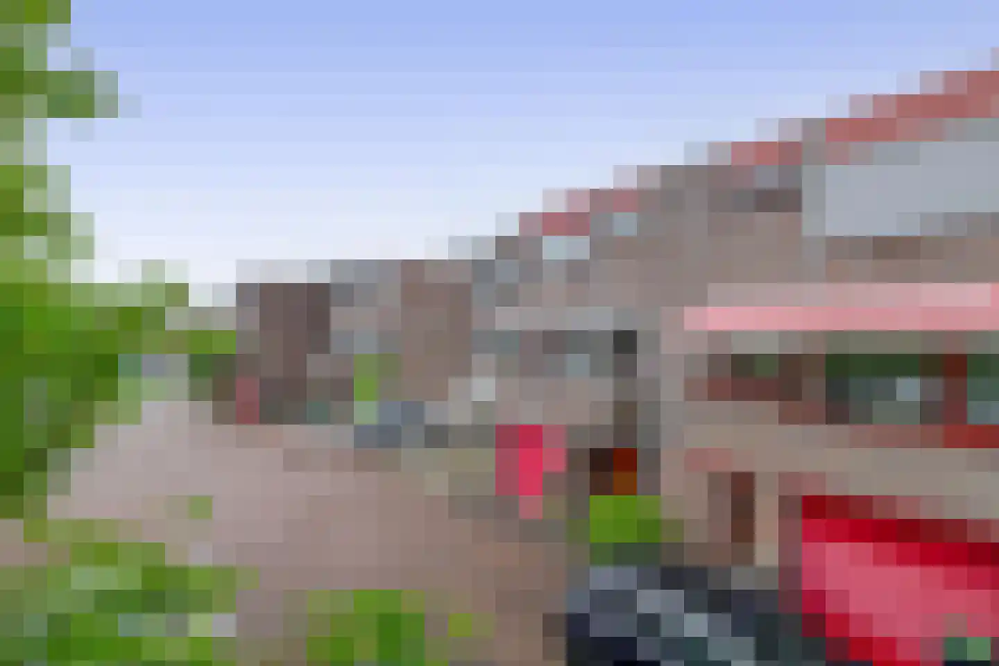 Watertorkruid 7 Nieuwerkerk aan den IJssel thumbnail 4