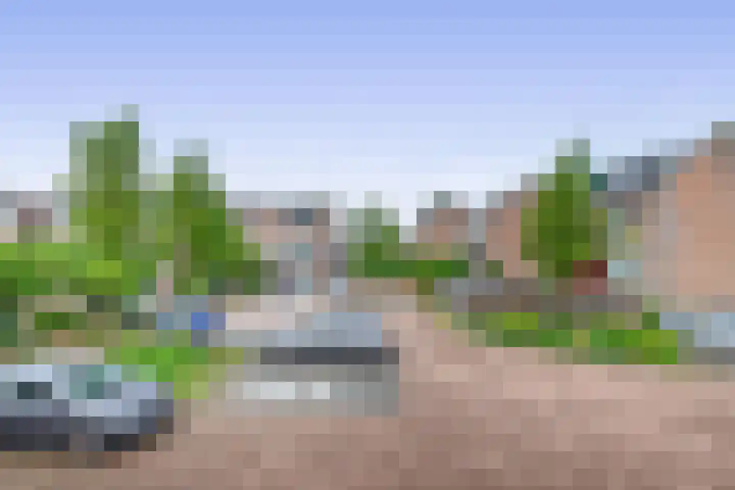 Watertorkruid 7 Nieuwerkerk aan den IJssel thumbnail 41