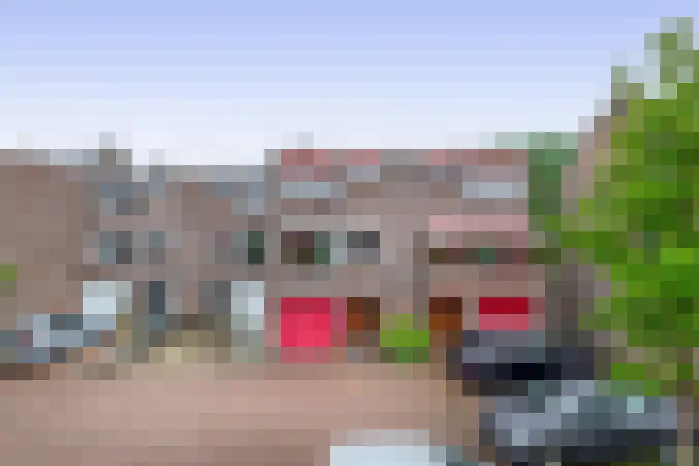 Watertorkruid 7 Nieuwerkerk aan den IJssel thumbnail 42