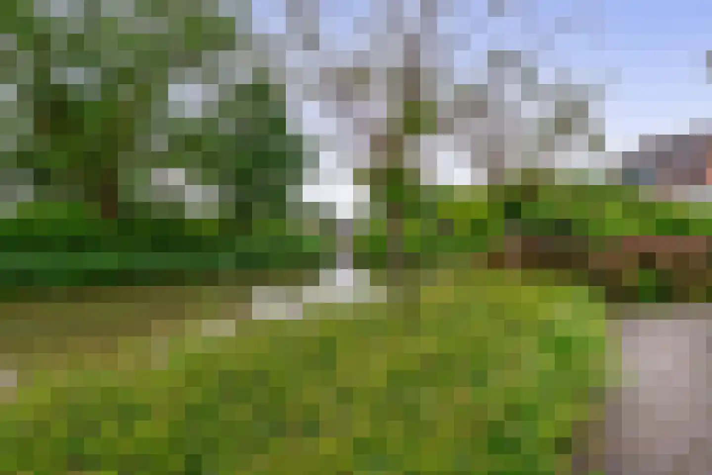 Watertorkruid 7 Nieuwerkerk aan den IJssel thumbnail 45