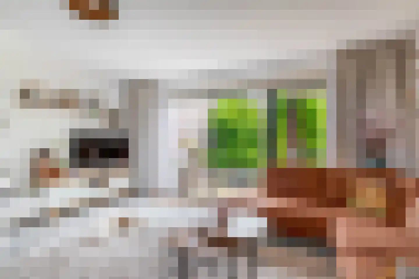 Watertorkruid 7 Nieuwerkerk aan den IJssel thumbnail 9