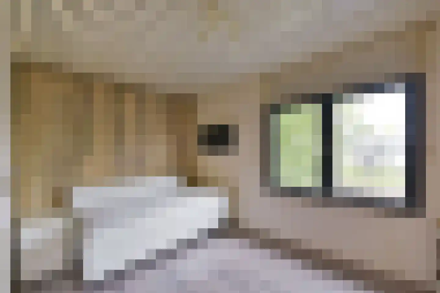 Watertuin 10 Wilnis thumbnail 13