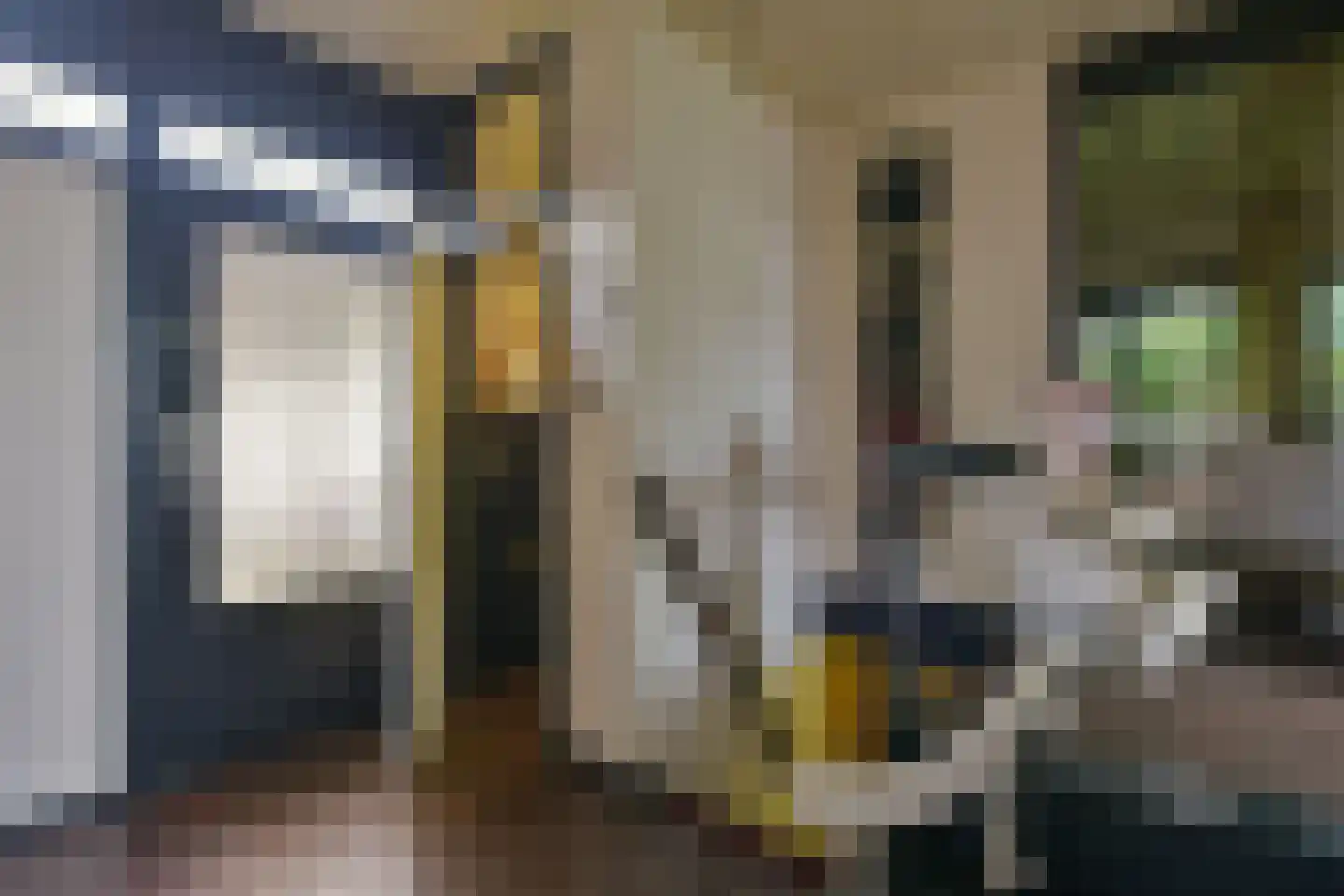 Watertuin 10 Wilnis thumbnail 22