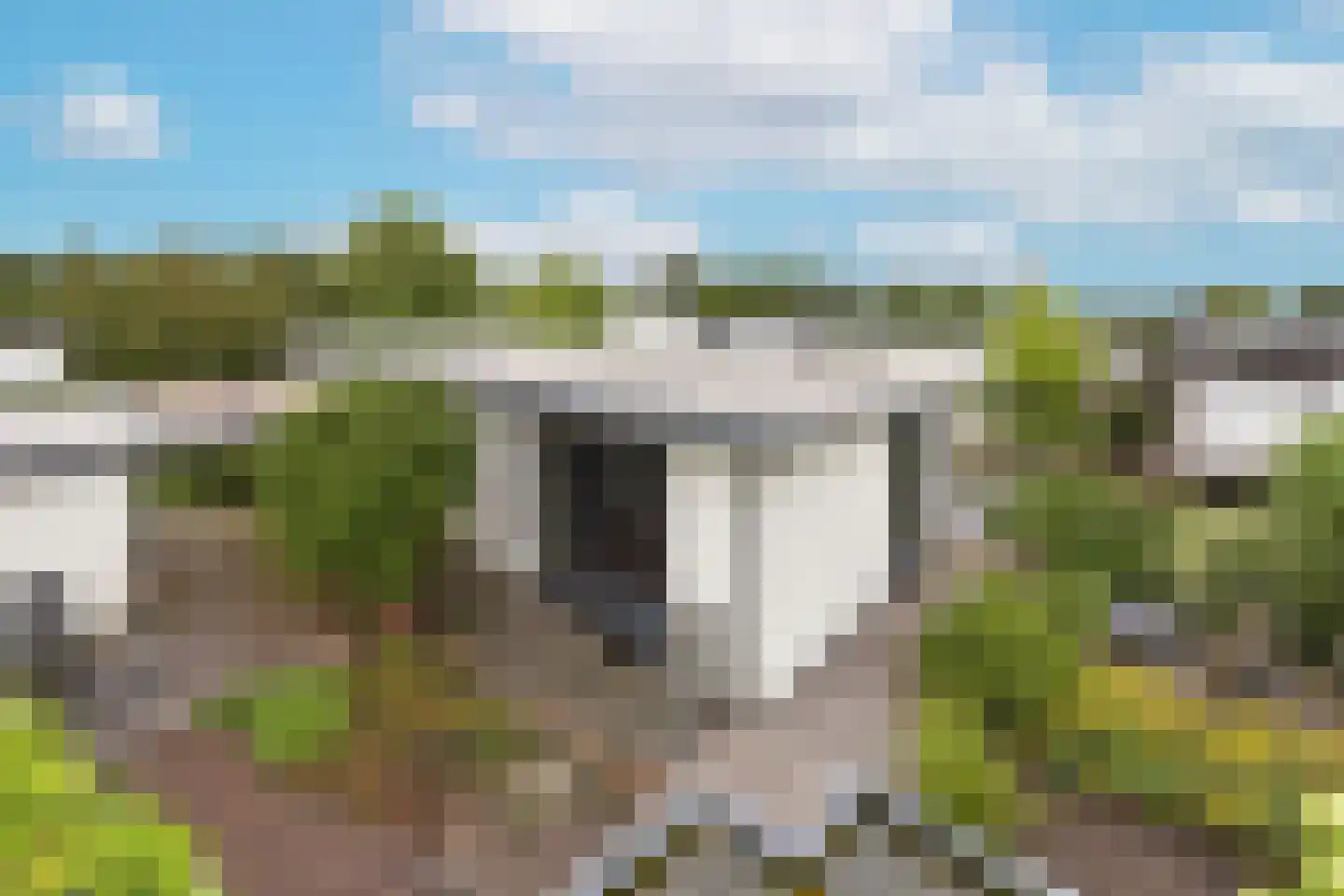 Watertuin 10 Wilnis thumbnail 23