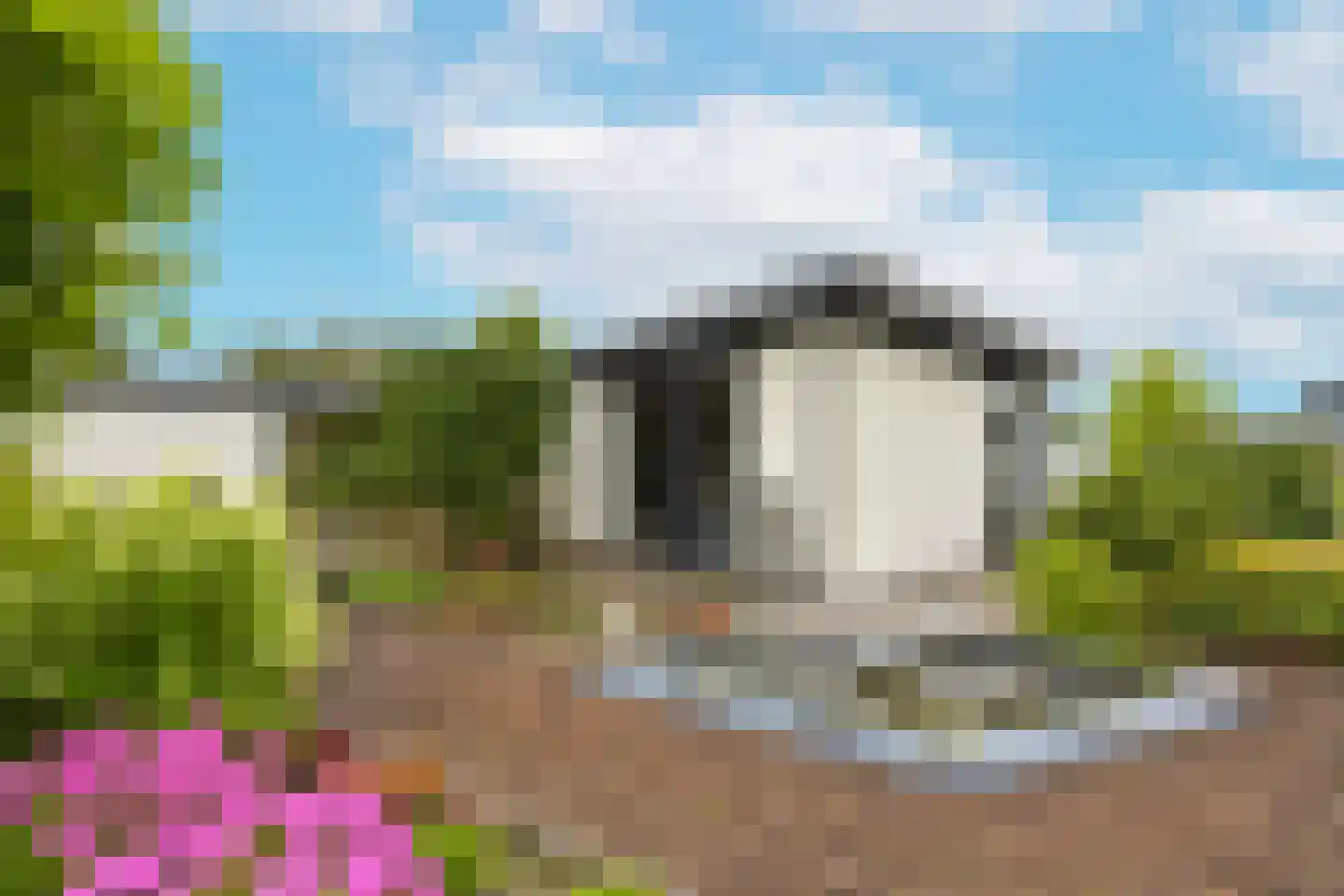 Watertuin 10 Wilnis thumbnail 24