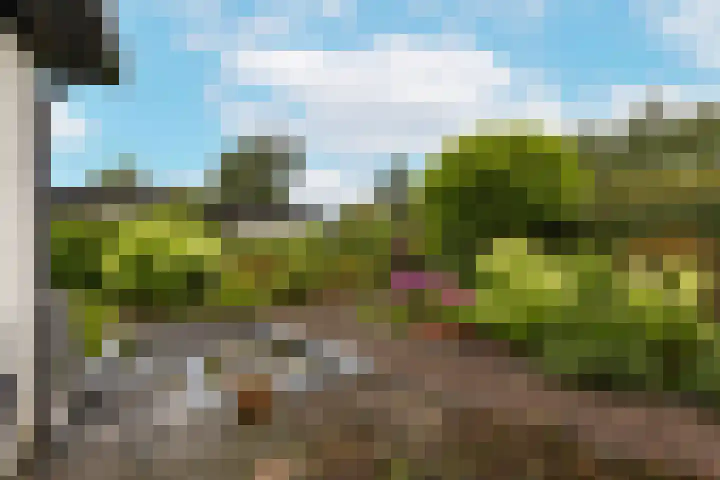 Watertuin 10 Wilnis thumbnail 25