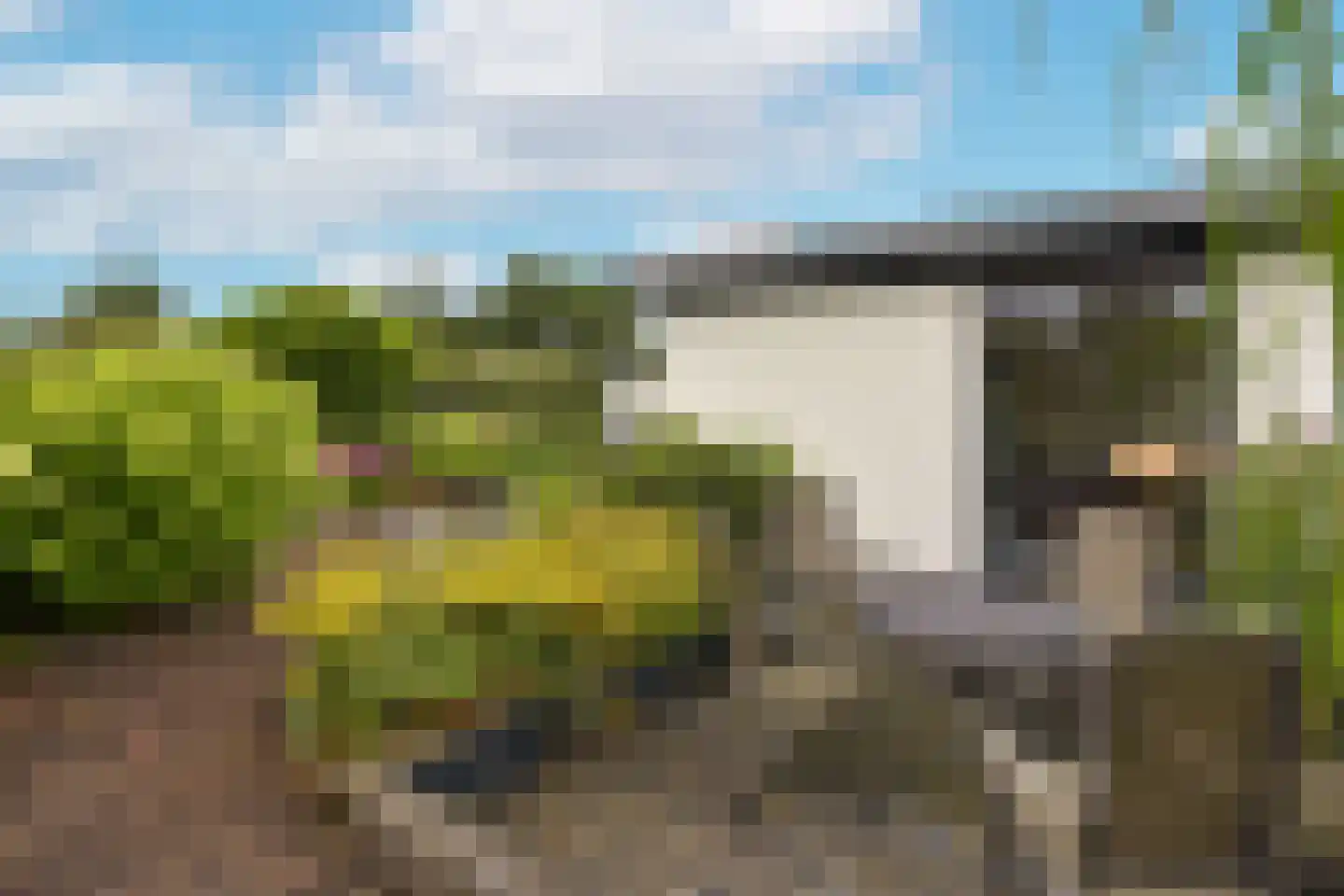 Watertuin 10 Wilnis thumbnail 27