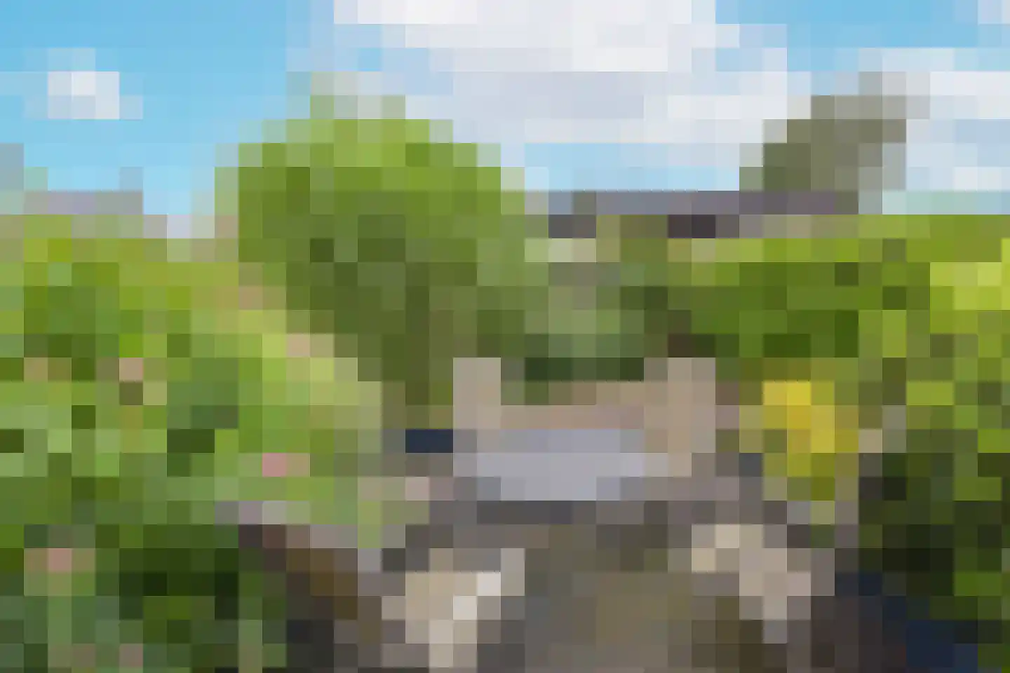 Watertuin 10 Wilnis thumbnail 28
