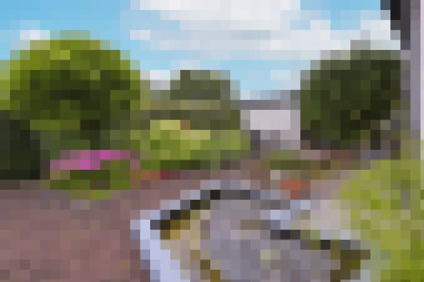 Watertuin 10 Wilnis thumbnail 29