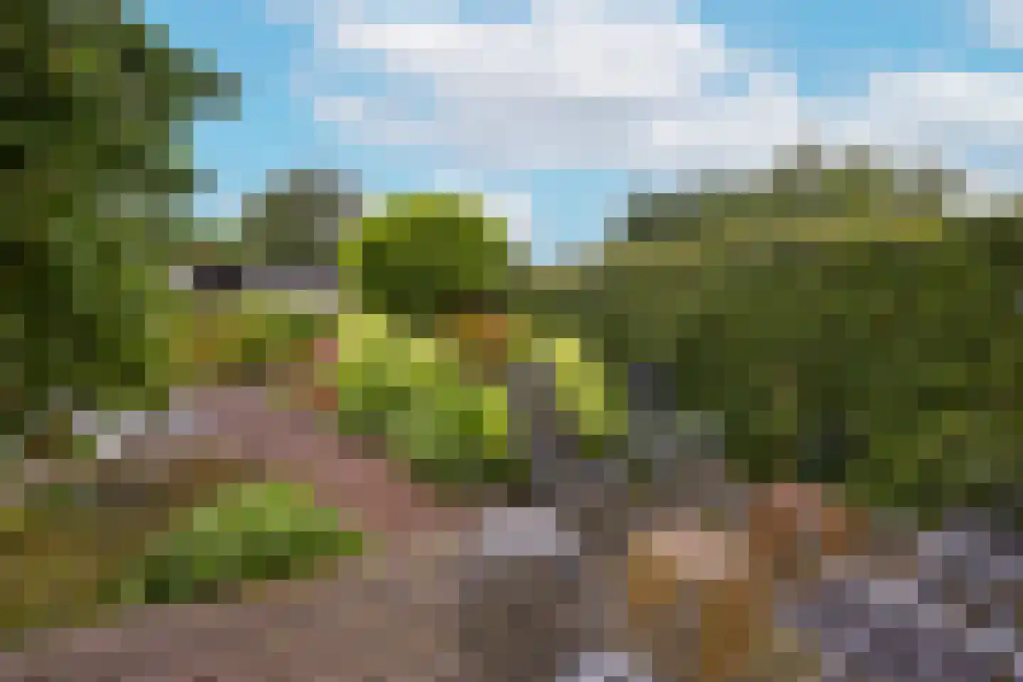 Watertuin 10 Wilnis thumbnail 30