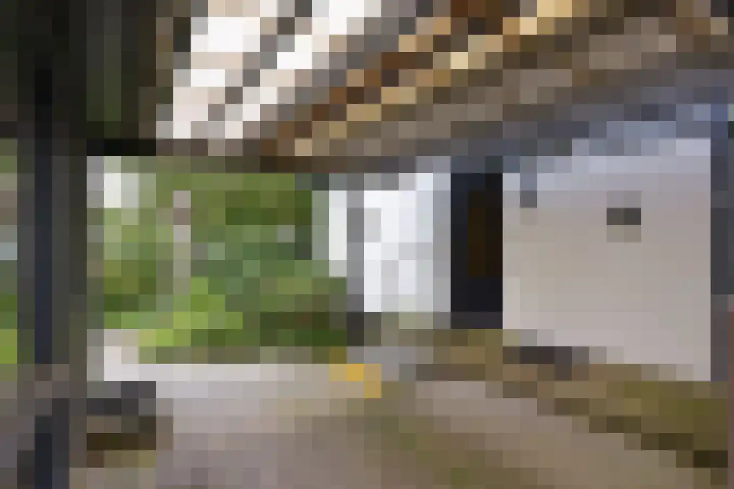 Watertuin 10 Wilnis thumbnail 32
