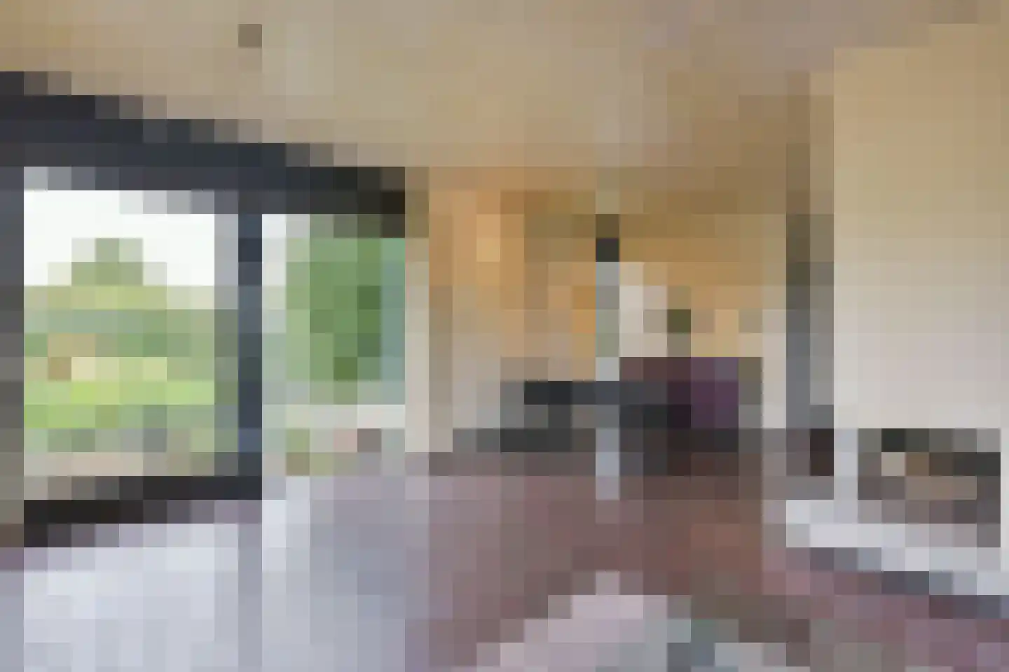 Watertuin 10 Wilnis thumbnail 6