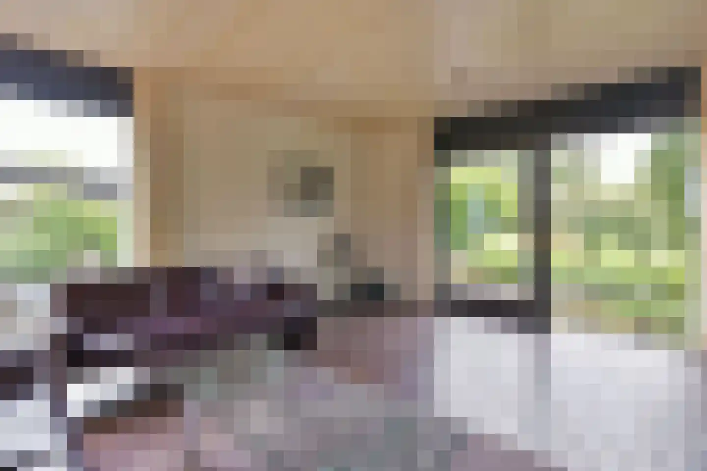 Watertuin 10 Wilnis thumbnail 7