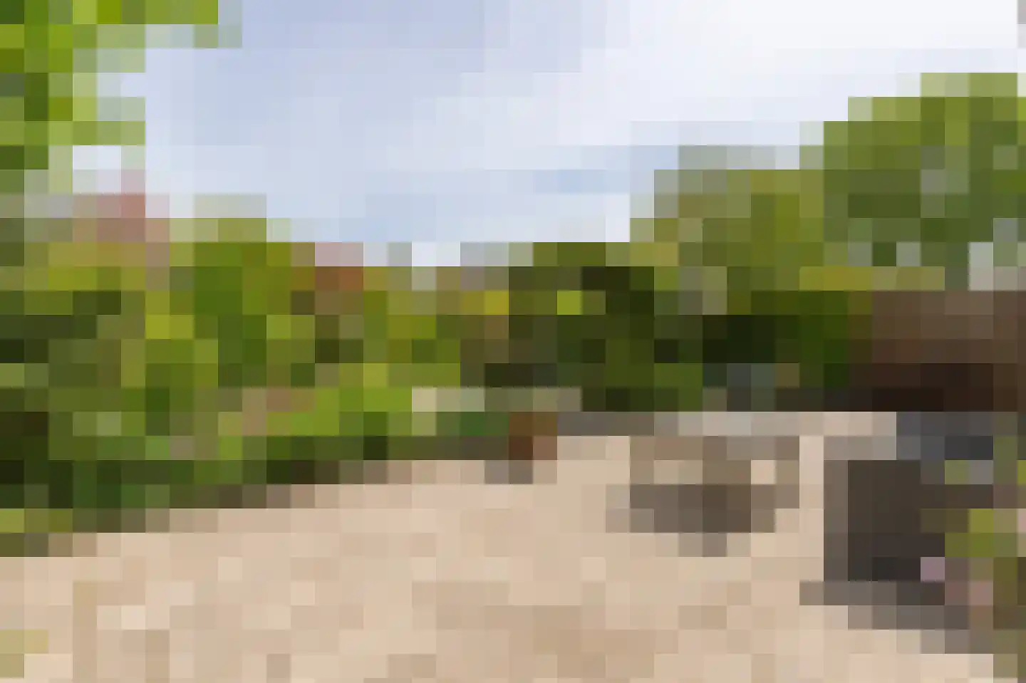 Watertuin 22 Warmond thumbnail 24