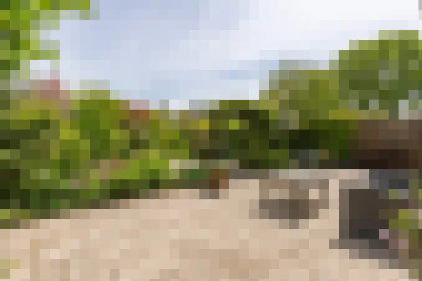 Watertuin 22 Warmond thumbnail 25