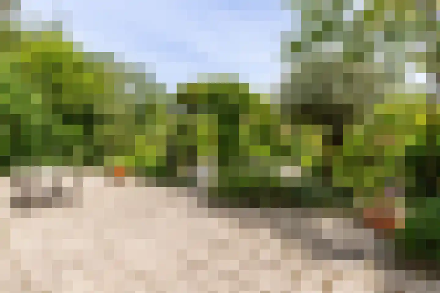 Watertuin 22 Warmond thumbnail 26