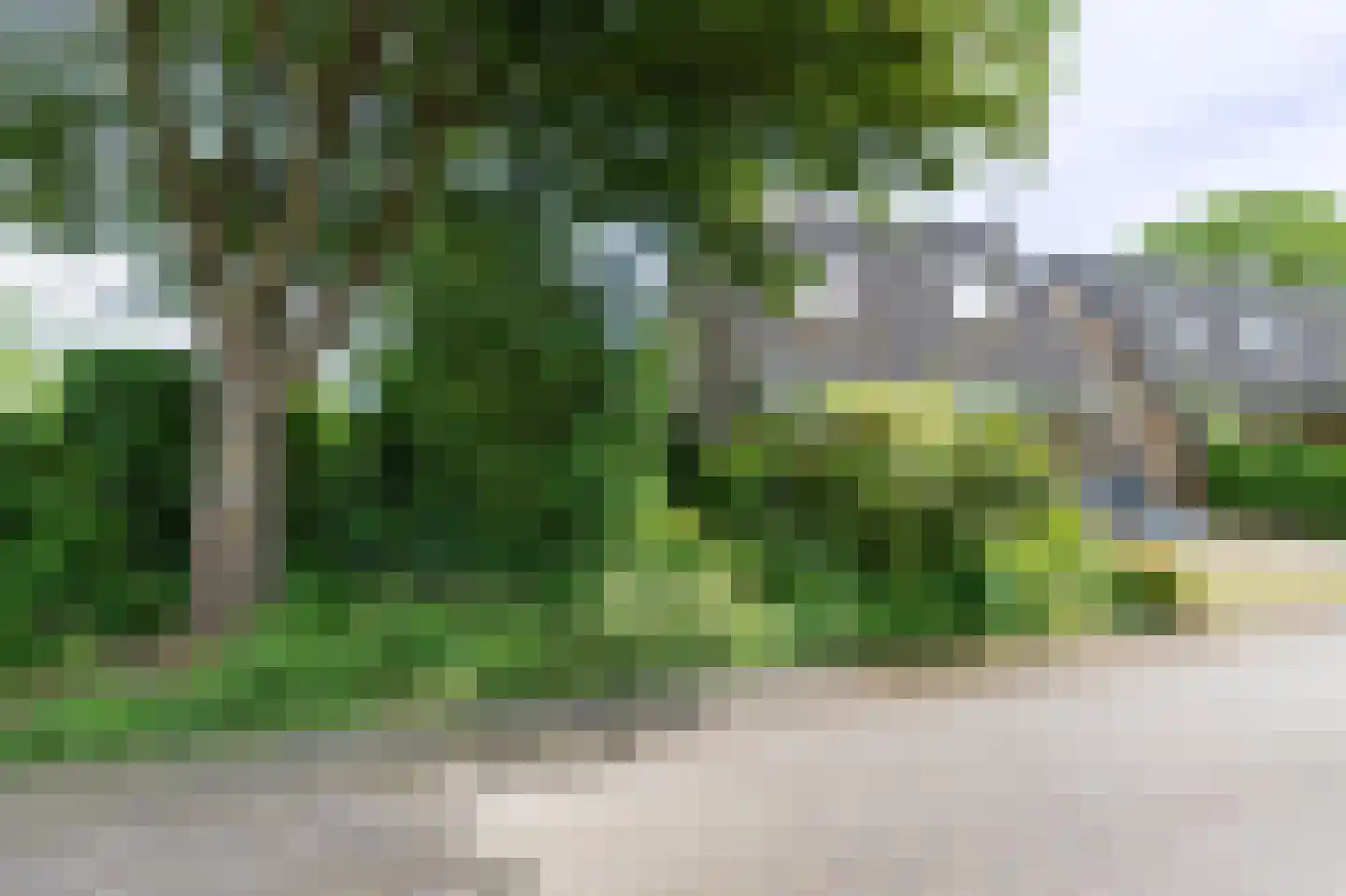 Watertuin 22 Warmond thumbnail 28