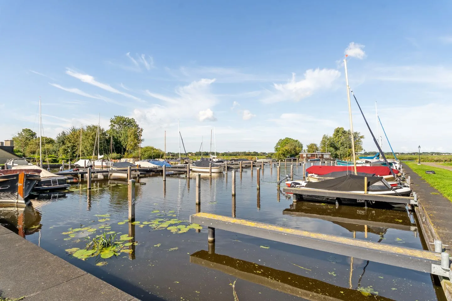 Watertuin 25 Warmond thumbnail 59